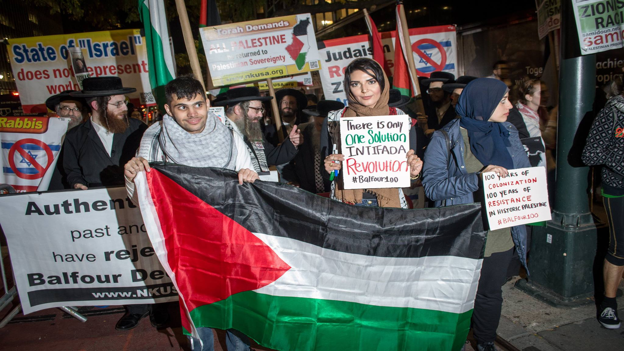 Nerdeen Kiswani and Within Our Lifetime-United for Palestine: What You Need to Know