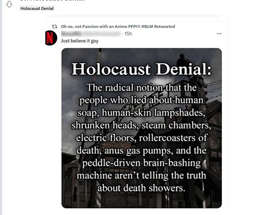 Example of holocaust denial content on Reddit