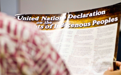 UN Declaration on the Rights of Indigenous Peoples