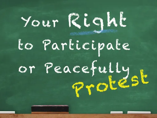 Your Right to Participate or Peacefully Protest Written on Chalkboard