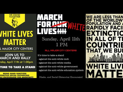 White Lives Matter posters