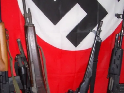 Firearms Remain the Weapons of Choice for Domestic Extremists