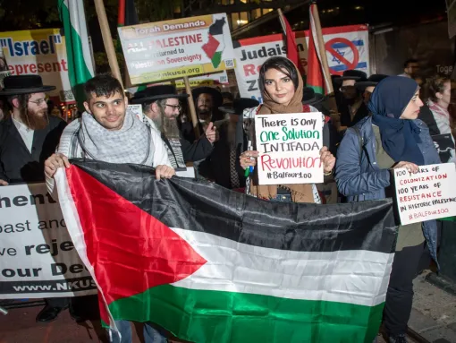 Nerdeen Kiswani and Within Our Lifetime-United for Palestine: What You Need to Know