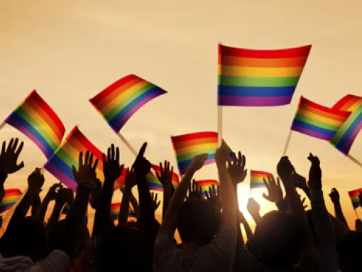 People Waving Gay Pride Rainbow Flags