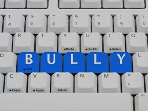 Online Bullying 