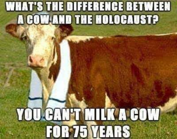 Holocaust Denial Problem