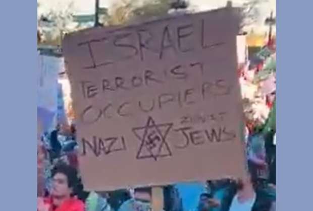 Picture at an anti-Israel protest