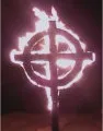 Burning Neo-Nazi Symbols