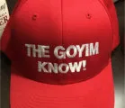 The Goyim Know/Shut It Down