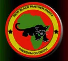 New Black Panther Party